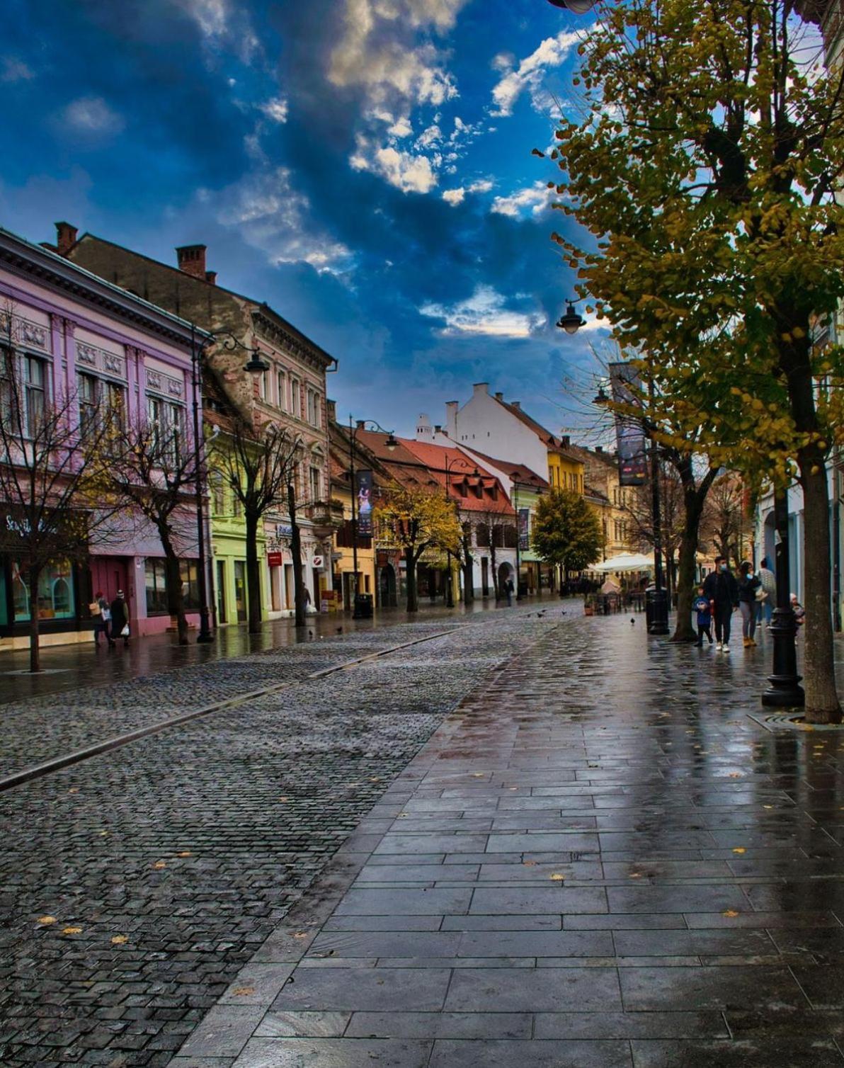 Phoenix Central Apartments Sibiu Exteriör bild